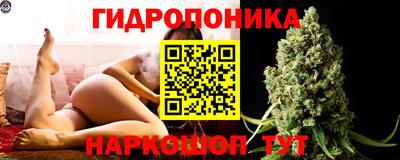 крисы Донецк