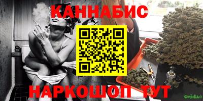 крисы Дубна