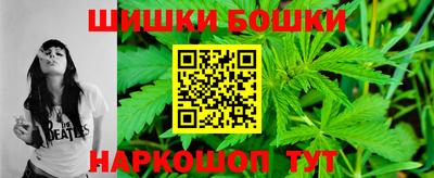 крисы Дубна